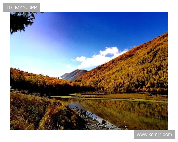 足球巨星女儿的成长之路 从青涩少年到未来星光的闪耀之旅